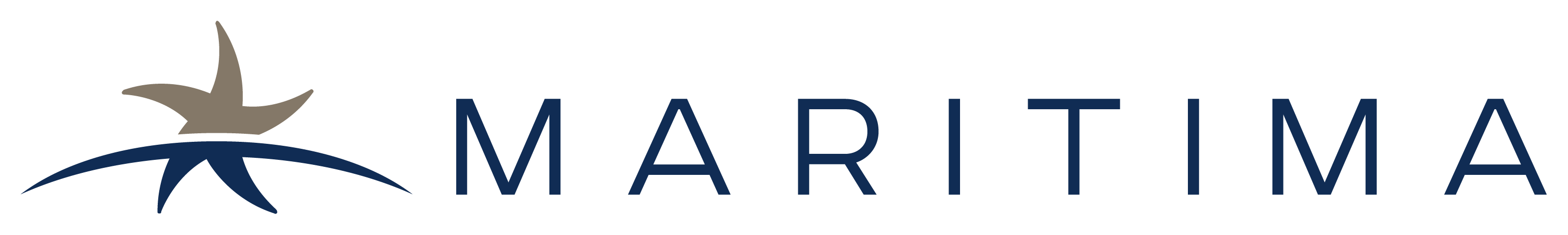 maritima logo